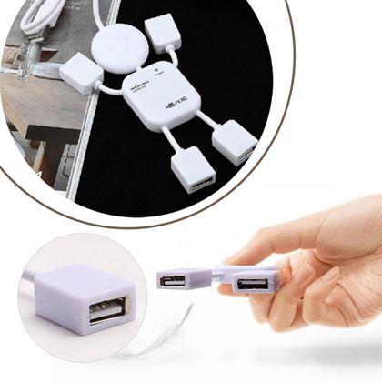 Imaginea din USB mascota