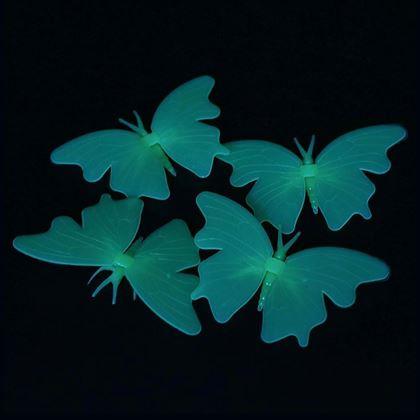 Imaginea din Fluturi fosforescenți
