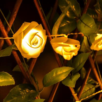 Imaginea din Trandafir luminos