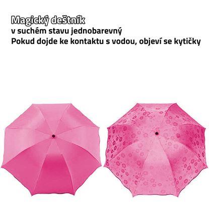 Imaginea Umbrelă magică