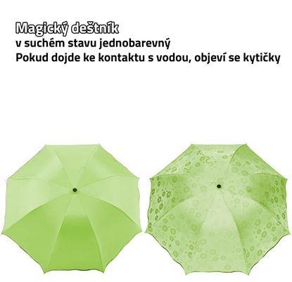 Imaginea Umbrelă magică