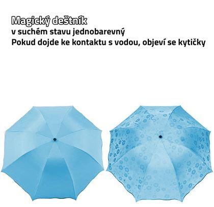 Imaginea din Umbrelă magică - albastră