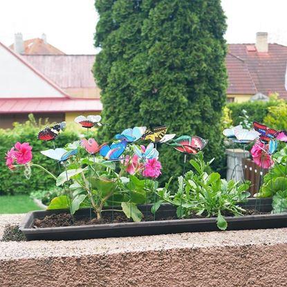 Imaginea Tija pentru ghiveci 24 bucăţi - fluture