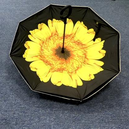 Imaginea Umbrelă inversată