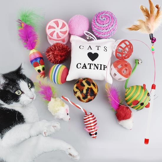 Imaginea din Set jucării pentru pisici
