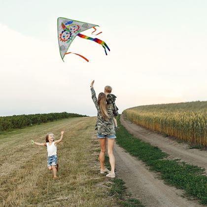 Imaginea din Zbor de colorat cu dragon zburător - flori