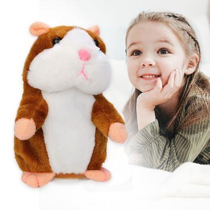 Imaginea Hamster inteligent