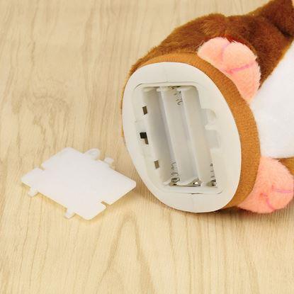 Imaginea Hamster inteligent