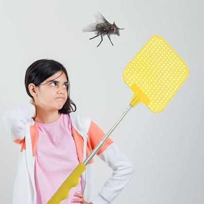 Imaginea din Bătător telescopic pentru insecte