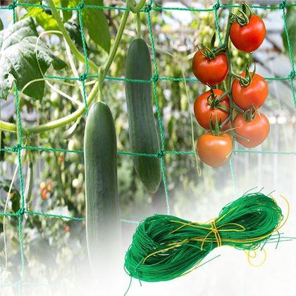 Imaginea din Plasă de susținere pentru cultivarea legumelor și florilor