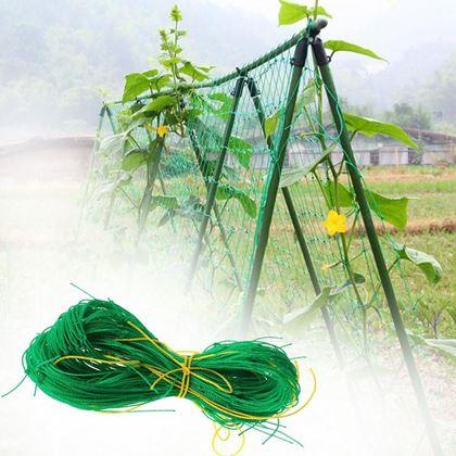 Imaginea din Plasă de susținere pentru cultivarea legumelor și florilor