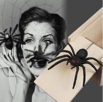 Imaginea din Păianjen în cutie