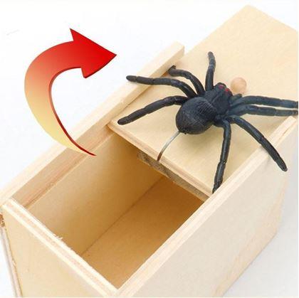Imaginea din Păianjen în cutie