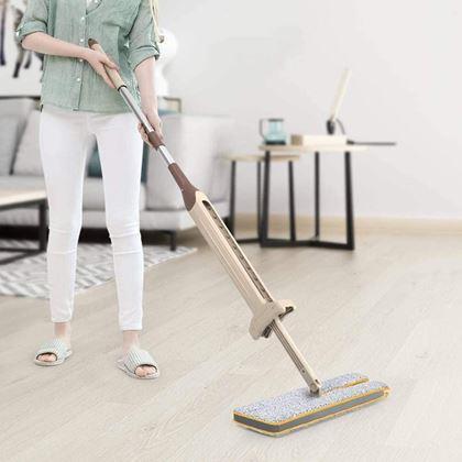 Imaginea din Mop dublu fețe