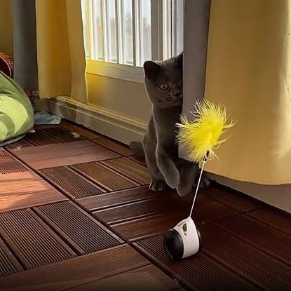 Imaginea Jucărie interactivă cu bile pentru pisici