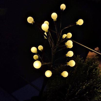 Imaginea Zăgărdan cu panouri solare pentru copaci - bile