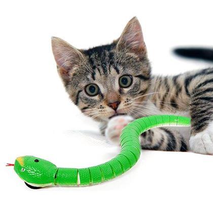 Imaginea din Jucărie pentru pisici - șarpe