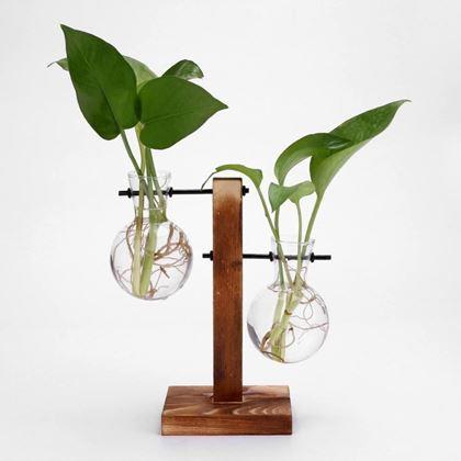 Imaginea din Stand pentru vaze pentru multiplicarea plantelor