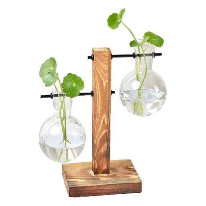 Imaginea din Stand pentru vaze pentru multiplicarea plantelor