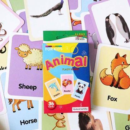 Imaginea din Carduri de învățare - animale