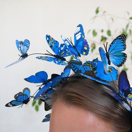 Imaginea din Cordeluță cu fluturi - albastru