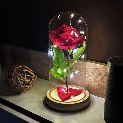 Imaginea Trandafir luminos în vas de sticlă