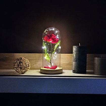 Imaginea din Trandafir luminos în vas de sticlă
