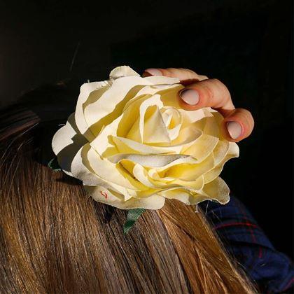 Imaginea din Spangă cu trandafir - alb