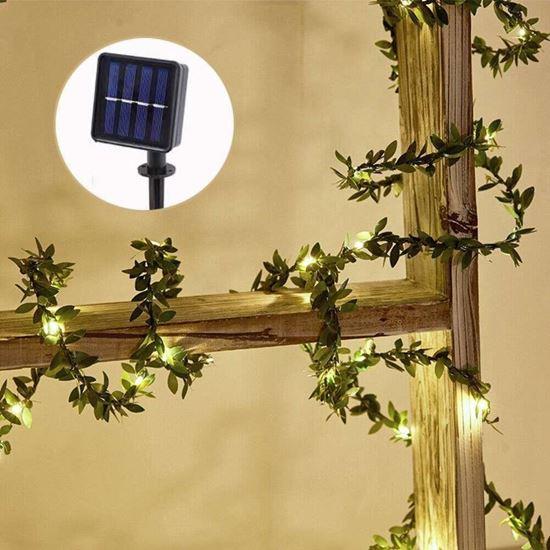 Imaginea din Solari LED - lănțișor cu frunze