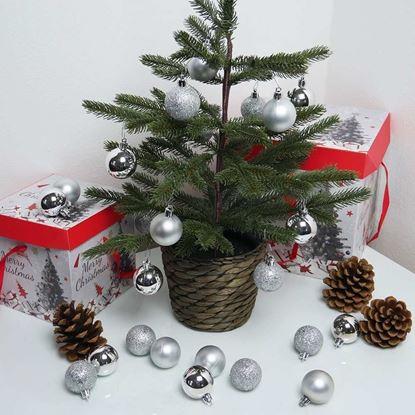 Imaginea Set de decorațiuni de Crăciun, 24 buc