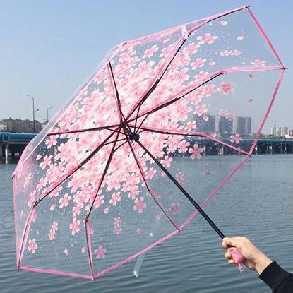 Imaginea Umbrelă transparentă - flori