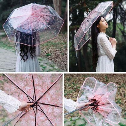 Imaginea din Umbrelă transparentă - flori