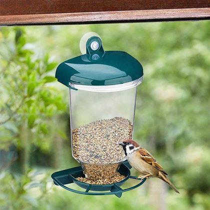Imaginea din Hranătoare pentru păsări pe geam