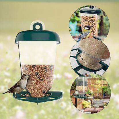 Imaginea Hranătoare pentru păsări pe geam