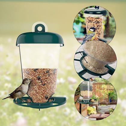 Imaginea din Hranătoare pentru păsări pe geam