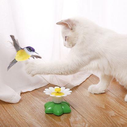 Imaginea Jucărie pentru pisici - pasăre colibri zburătoare