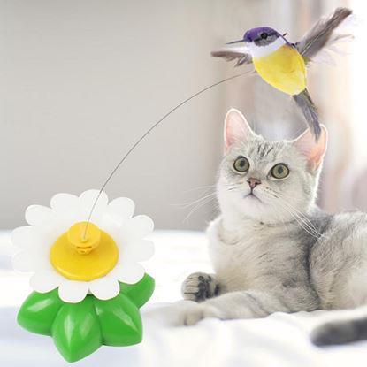 Imaginea Jucărie pentru pisici - pasăre colibri zburătoare