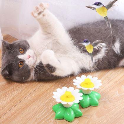 Imaginea din Jucărie pentru pisici - pasăre colibri zburătoare
