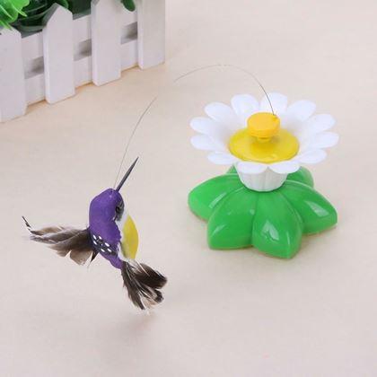 Imaginea din Jucărie pentru pisici - pasăre colibri zburătoare