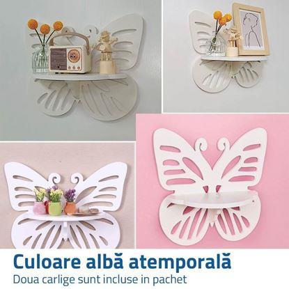 Imaginea Polonică de perete - fluture