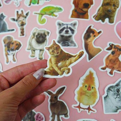 Imaginea din Autocolante animale 50 buc