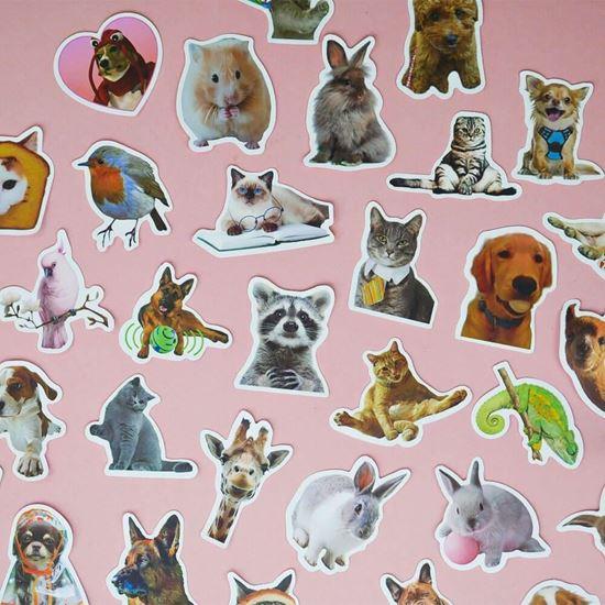Imaginea din Autocolante animale 50 buc