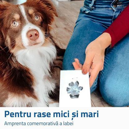 Imaginea Set pentru amprenta labută