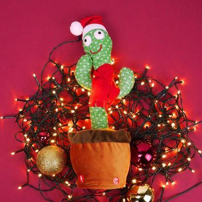 Imaginea Cactus vorbitor şi cântător