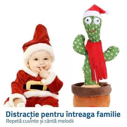 Imaginea Cactus vorbitor şi cântător