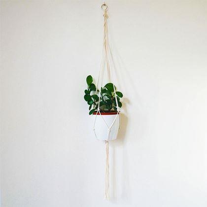 Imaginea din Macrame atârnat pentru un ghiveci de flori - crem