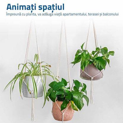 Imaginea Macrame atârnat pentru un ghiveci de flori - crem