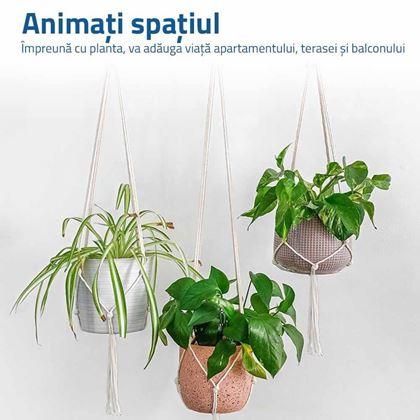 Imaginea din Macrame atârnat pentru un ghiveci de flori - crem