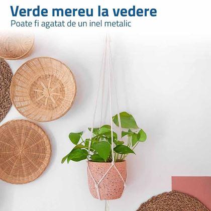 Imaginea din Macrame atârnat pentru un ghiveci de flori - crem