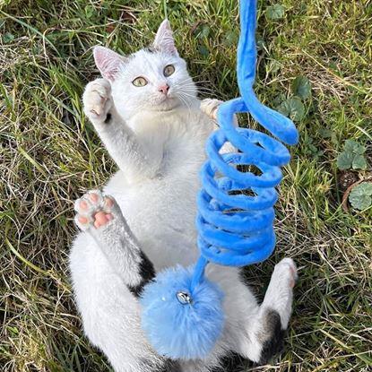 Imaginea Jucărie elastică pentru pisici cu minge